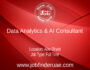 Data Analytics & AI Consultant