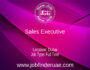 Sales Executive
