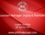 Assistant Manager Digital & Marketing