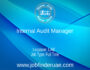Internal Audit Manager