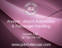 Analyst - Airport Automation & Passenger Handling