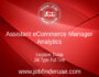 Assistant eCommerce Manager – Analytics