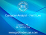 Category Analyst - Furniture
