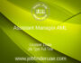 Assistant Manager AML
