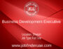 Business Development Executive