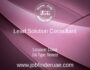 Lead Solution Consultant