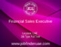 Financial Sales Executive