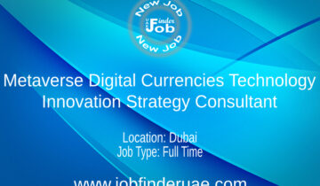 Metaverse Digital Currencies Technology Innovation Strategy Consultant