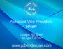 Assistant Vice President- HRBP