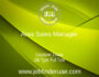 Area Sales Manager