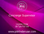 Concierge Supervisor