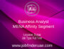 Business Analyst - MENA Affinity Segment