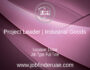 Project Leader | Industrial Goods