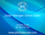 Junior Manager Online Sales