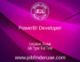 PowerBI Developer