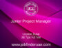 Junior Project Manager