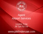 Agent, Airport Services