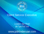 Client Service Executive