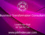 Business Transformation Consultant