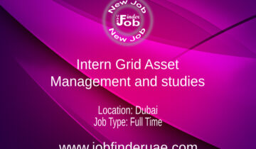 Intern Grid Asset Management and studies