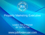Property Marketing Executive