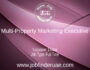 Multi-Property Marketing Executive