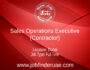 Sales Operations Executive (Contractor)