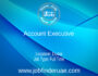 Account Executive
