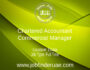 Chartered Accountant - Commercial Manager