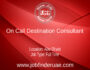 On Call Destination Consultant