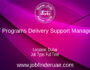 IT Programs Delivery Support Manager