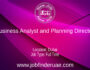 Business Analyst and Planning Director