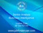 Senior Analyst, Business Intelligence
