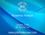 Business Analyst