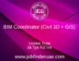 BIM Coordinator (Civil 3D + GIS)